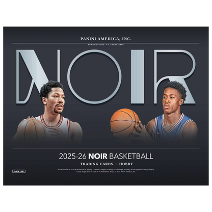 2025/26 Panini Noir Basketball Hobby 4 Box Case